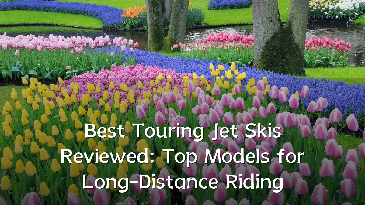 Best Touring Jet Skis Reviewed: Top Models for Long-Distance Riding