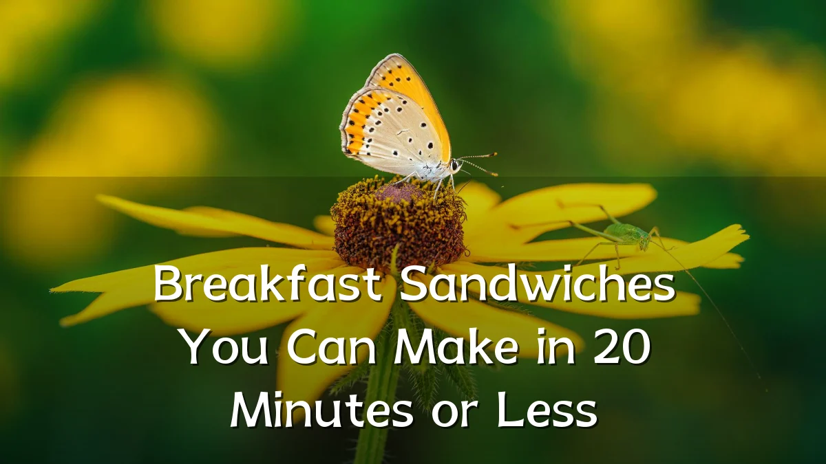 Breakfast Sandwiches You Can Make in 20 Minutes or Less