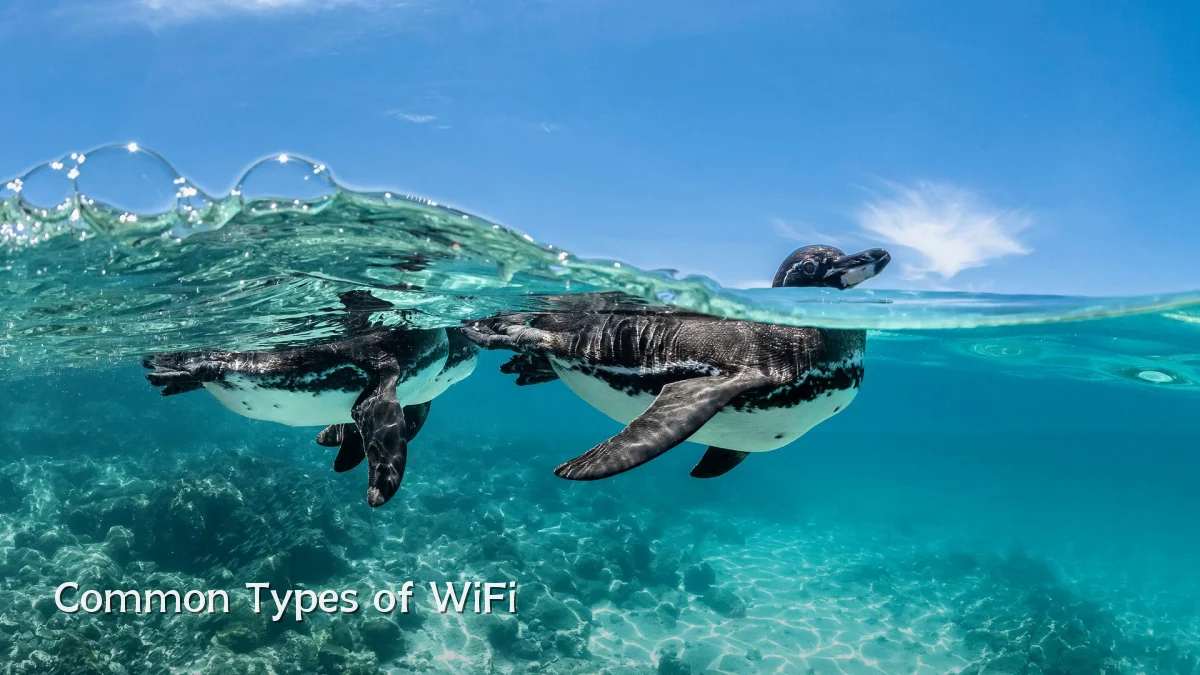 Common Types of WiFi