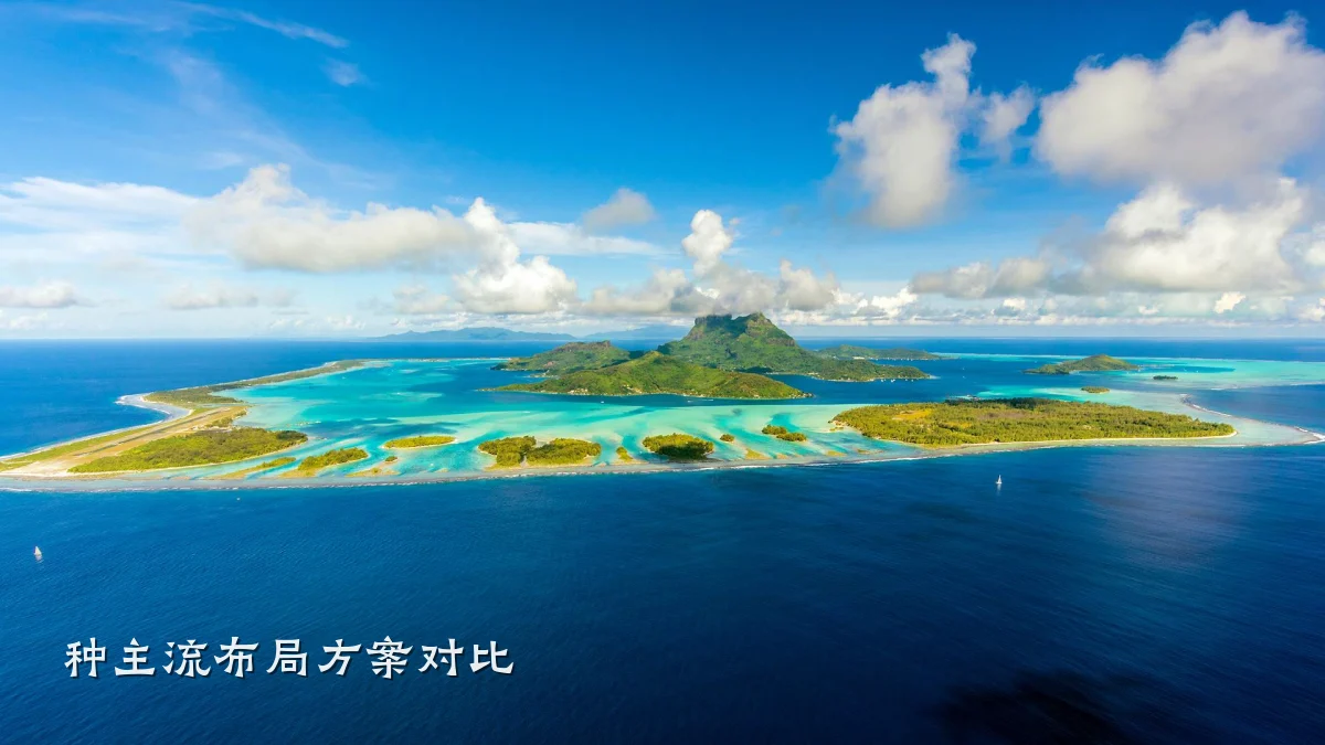种主流布局方案对比
