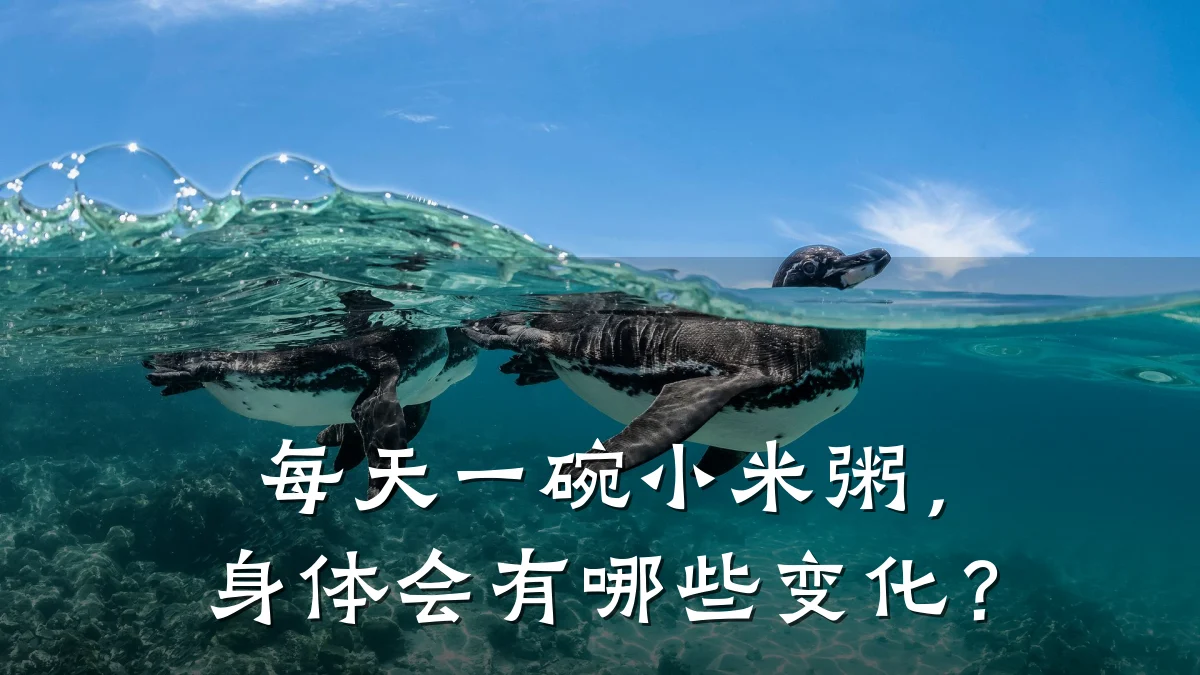 每天一碗小米粥,身体会有哪些变化?
