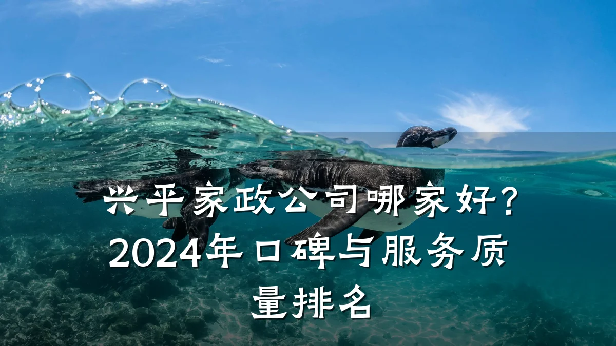 兴平家政公司哪家好？2024年口碑与服务质量排名