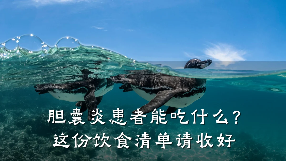 胆囊炎患者能吃什么?这份饮食清单请收好