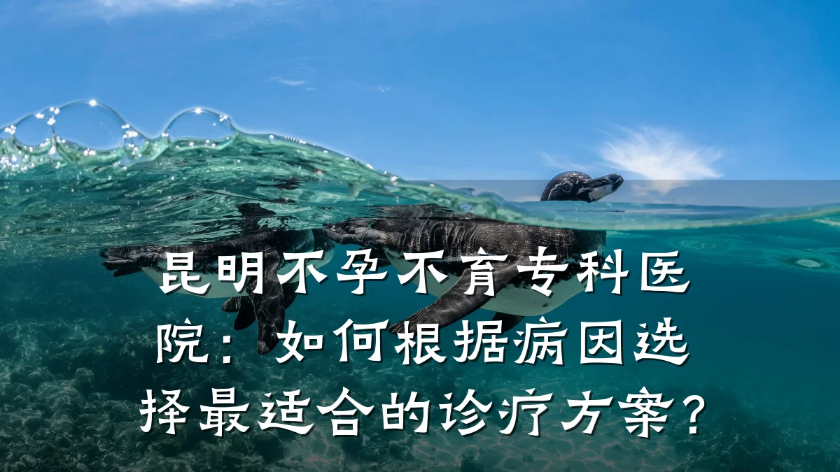昆明不孕不育专科医院:如何根据病因选择最适合的诊疗方案?