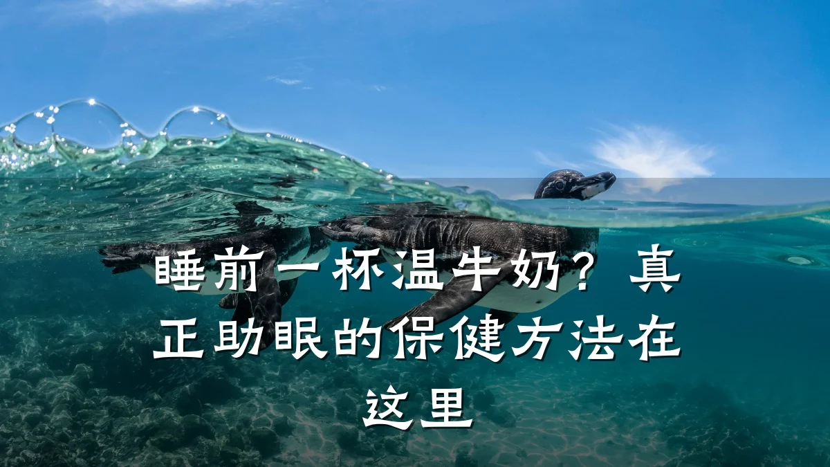 睡前一杯温牛奶？真正助眠的保健方法在这里
