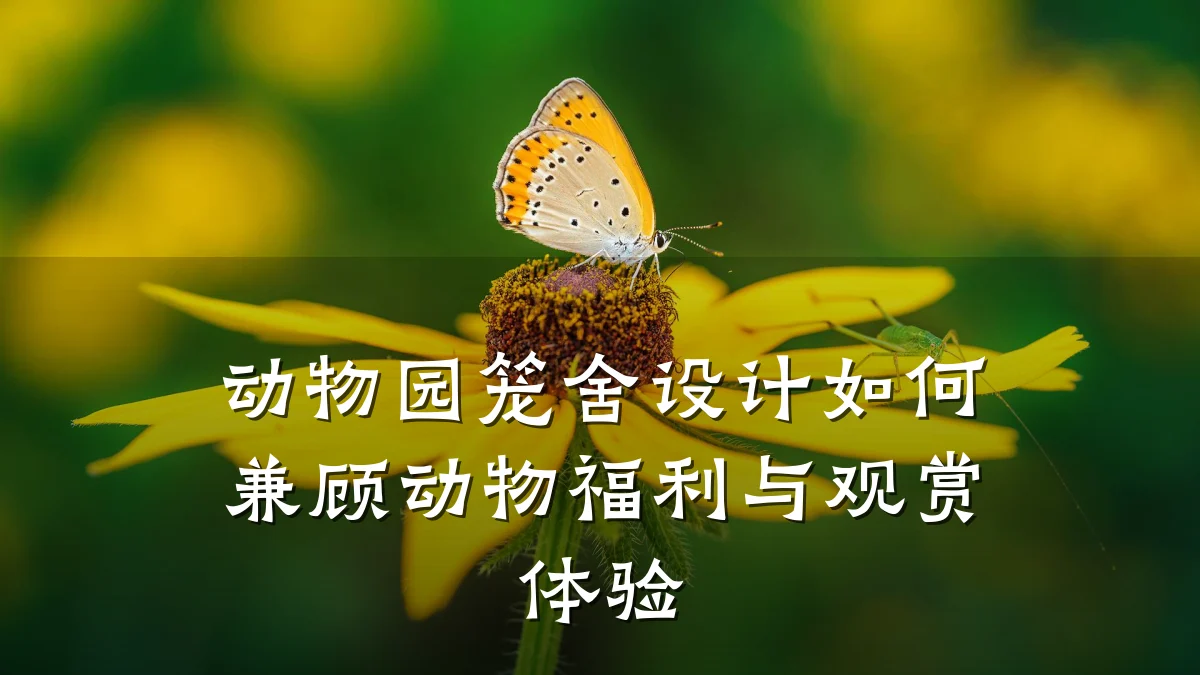 动物园笼舍设计如何兼顾动物福利与观赏体验