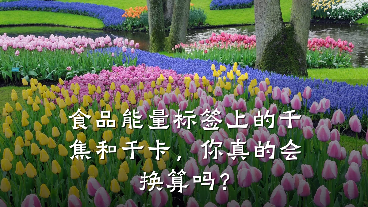 食品能量标签上的千焦和千卡，你真的会换算吗？
