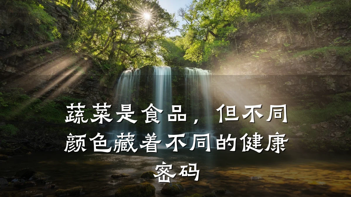 蔬菜是食品,但不同颜色藏着不同的健康密码