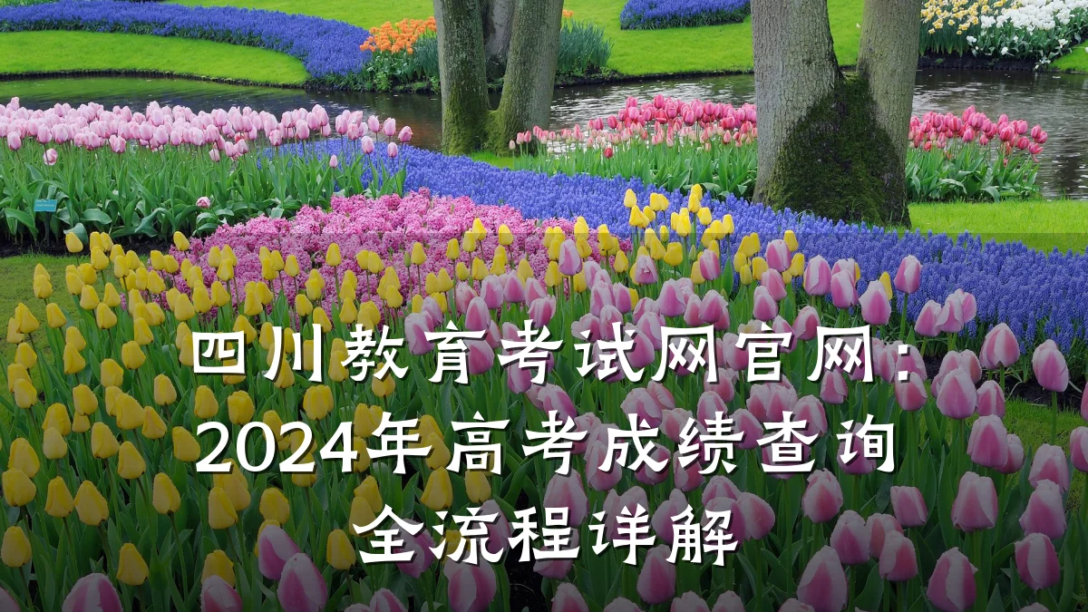 四川教育考试网官网：2024年高考成绩查询全流程详解