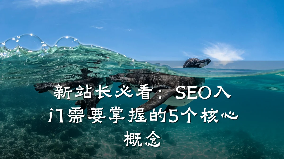 新站长必看:SEO入门需要掌握的5个核心概念