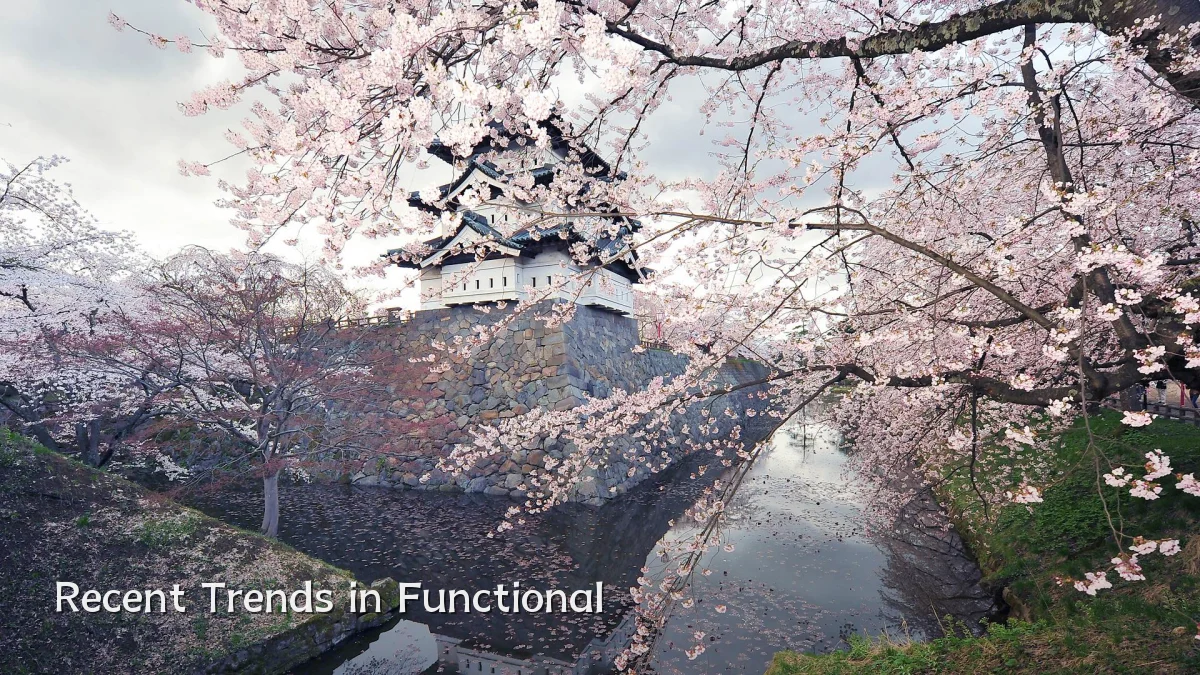 Recent Trends in Functional