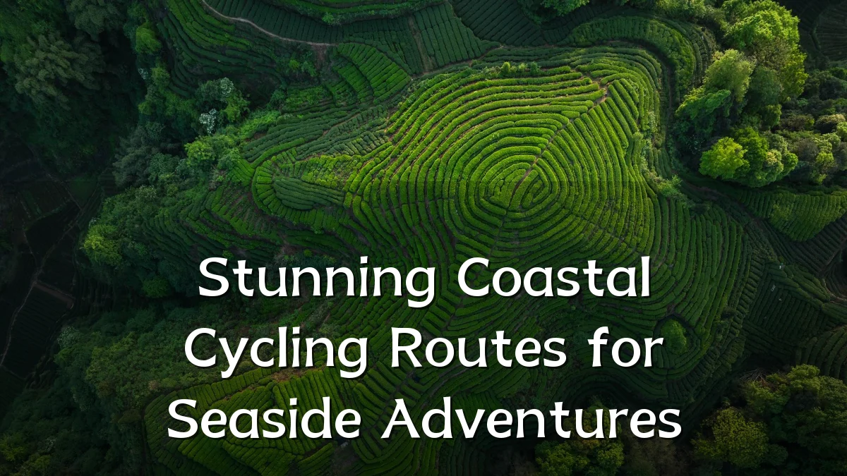 Stunning Coastal Cycling Routes for Seaside Adventures
