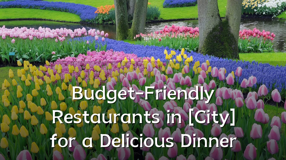 Budget-Friendly Restaurants in [City] for a Delicious Dinner