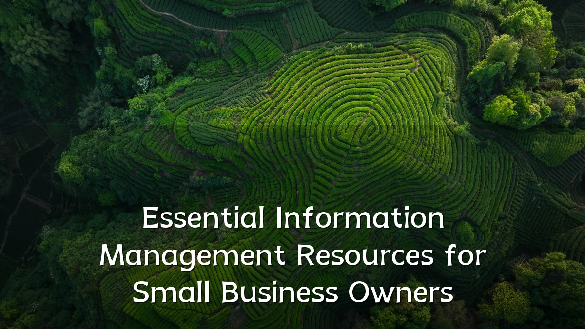 Essential Information Management Resources for Small Business Owners