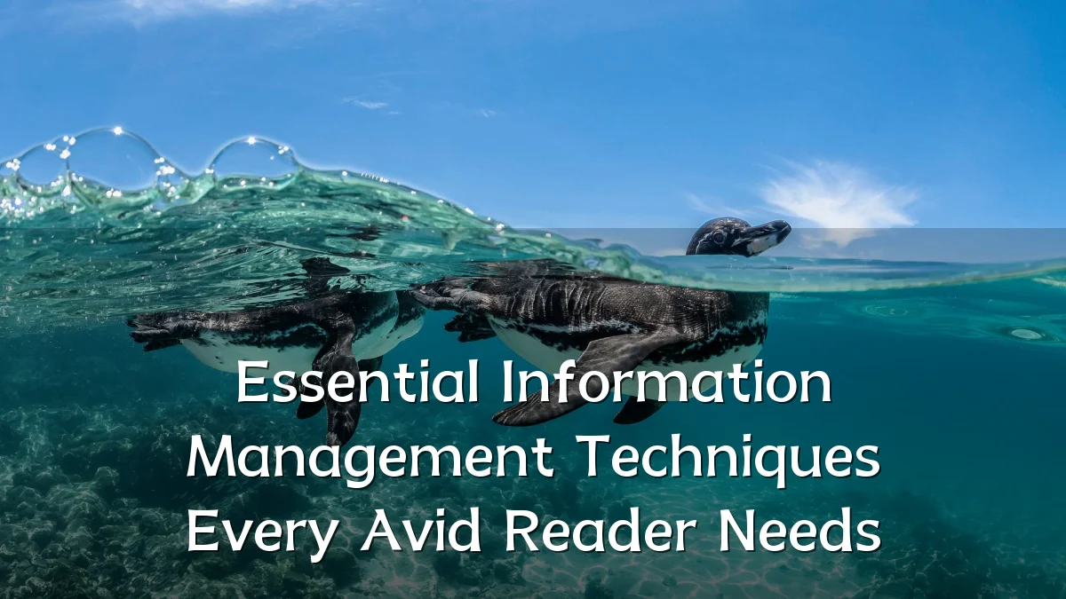 Essential Information Management Techniques Every Avid Reader Needs