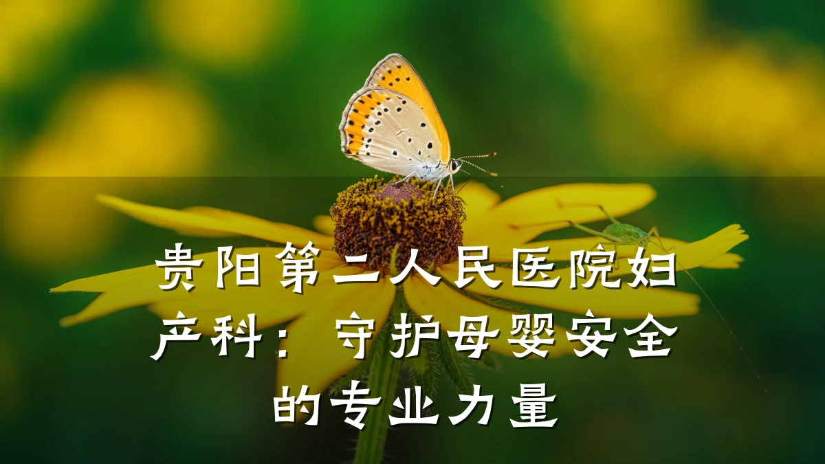 贵阳第二人民医院妇产科：守护母婴安全的专业力量