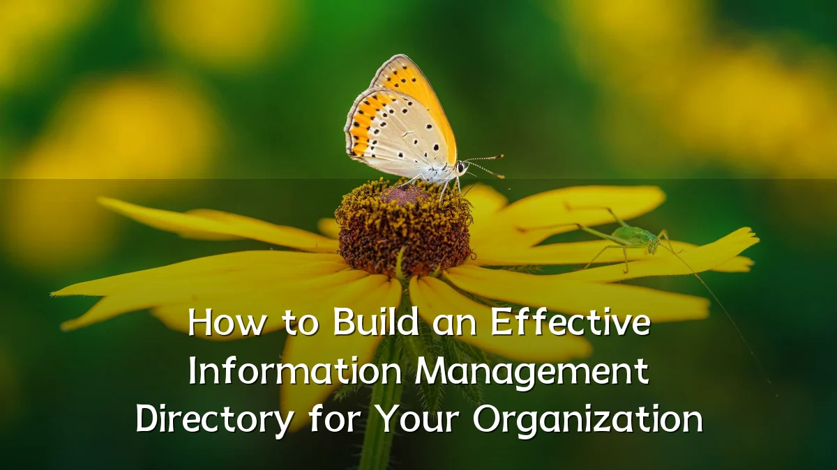 How to Build an Effective Information Management Directory for Your Organization