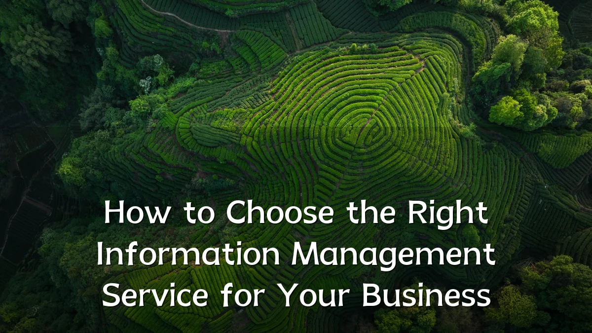 How to Choose the Right Information Management Service for Your Business
