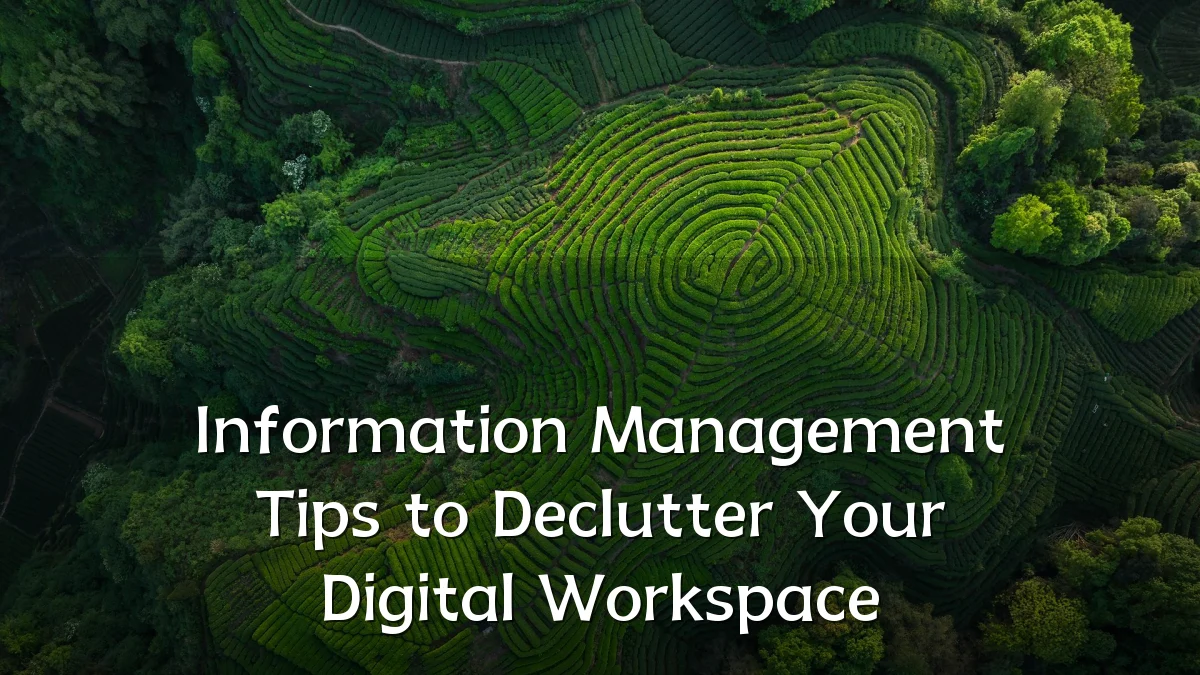 Information Management Tips to Declutter Your Digital Workspace