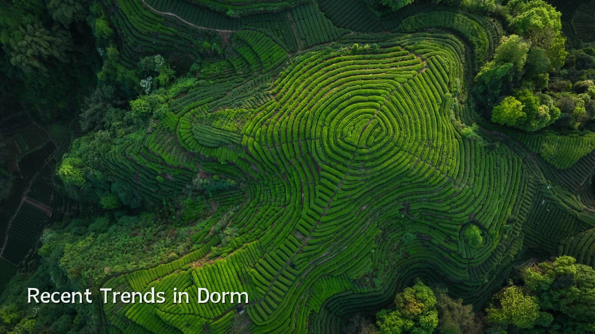Recent Trends in Dorm