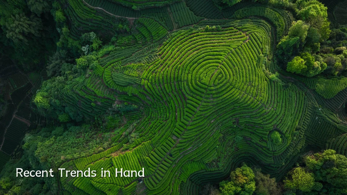 Recent Trends in Hand