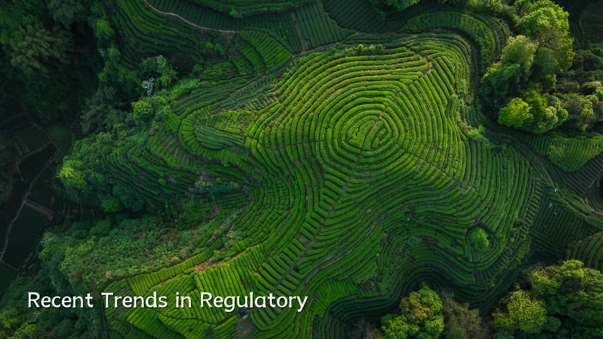 Recent Trends in Regulatory