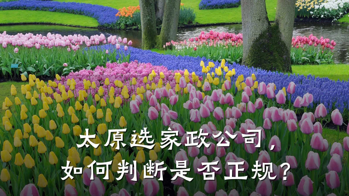 太原选家政公司，如何判断是否正规？