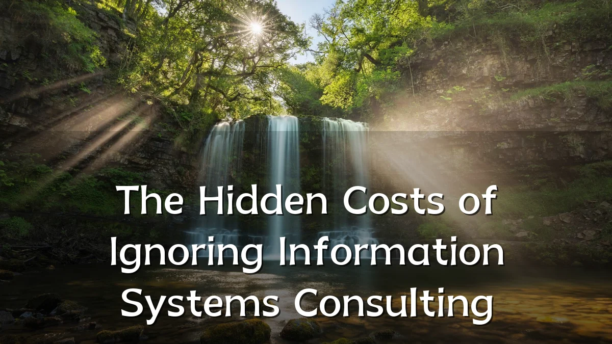 The Hidden Costs of Ignoring Information Systems Consulting