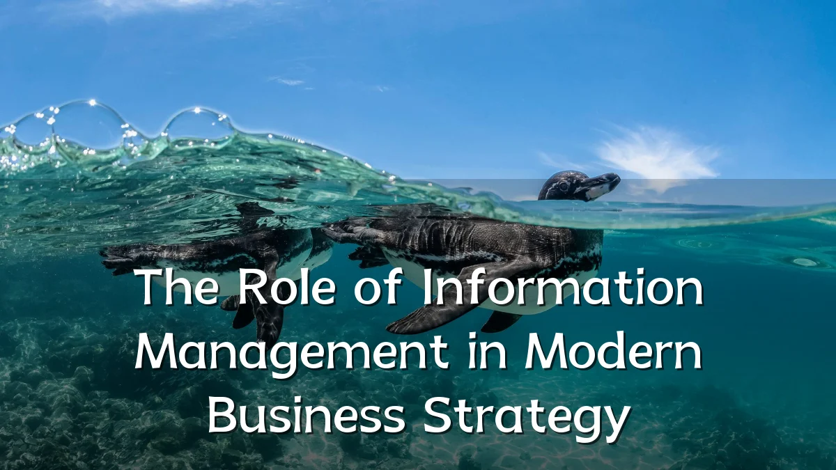 The Role of Information Management in Modern Business Strategy