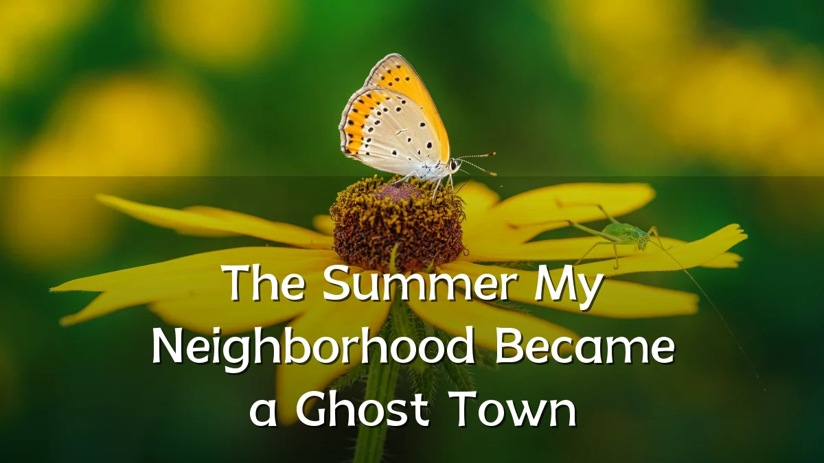 The Summer My Neighborhood Became a Ghost Town