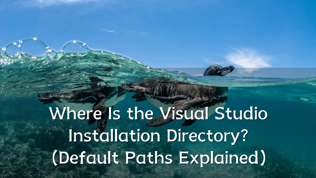 Where Is the Visual Studio Installation Directory? (Default Paths Explained)