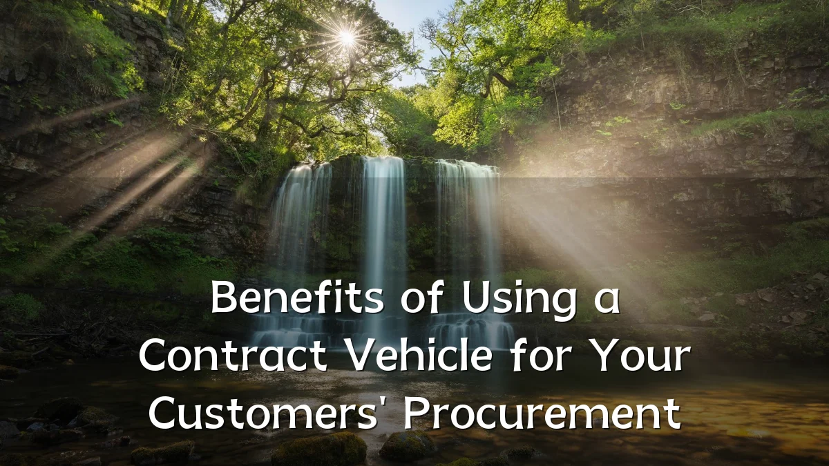 Benefits of Using a Contract Vehicle for Your Customers' Procurement
