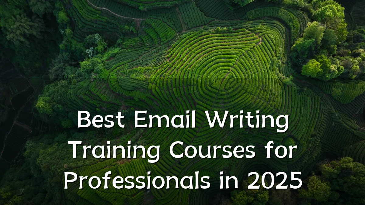 Best Email Writing Training Courses for Professionals in 2025