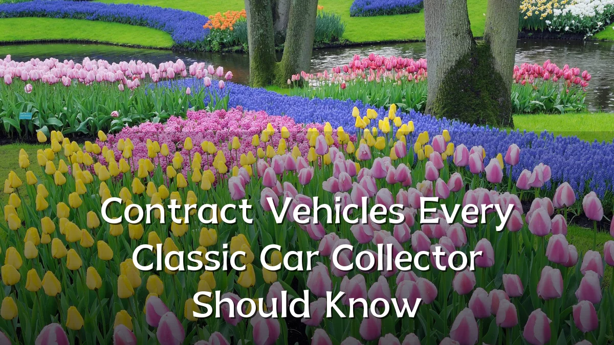 Contract Vehicles Every Classic Car Collector Should Know