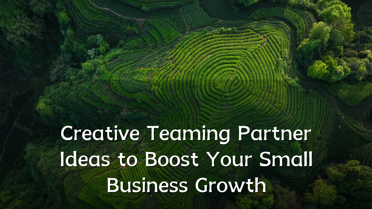 Creative Teaming Partner Ideas to Boost Your Small Business Growth
