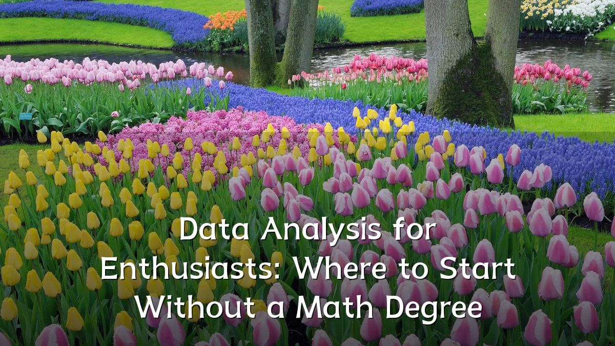 Data Analysis for Enthusiasts: Where to Start Without a Math Degree