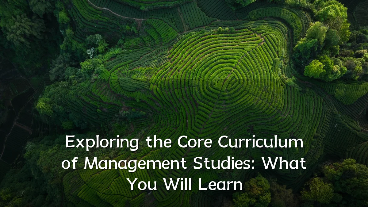 Exploring the Core Curriculum of Management Studies: What You Will Learn