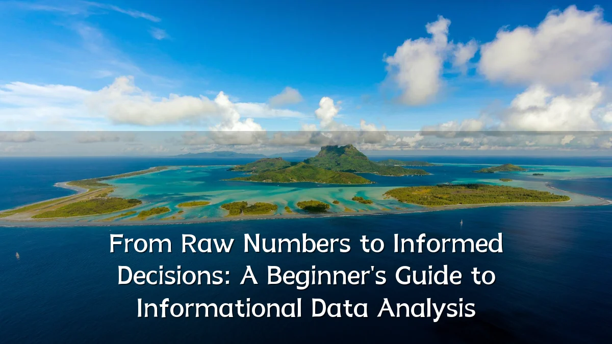 From Raw Numbers to Informed Decisions: A Beginner's Guide to Informational Data Analysis