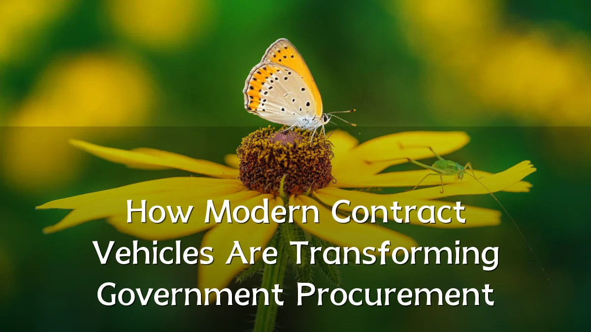 How Modern Contract Vehicles Are Transforming Government Procurement