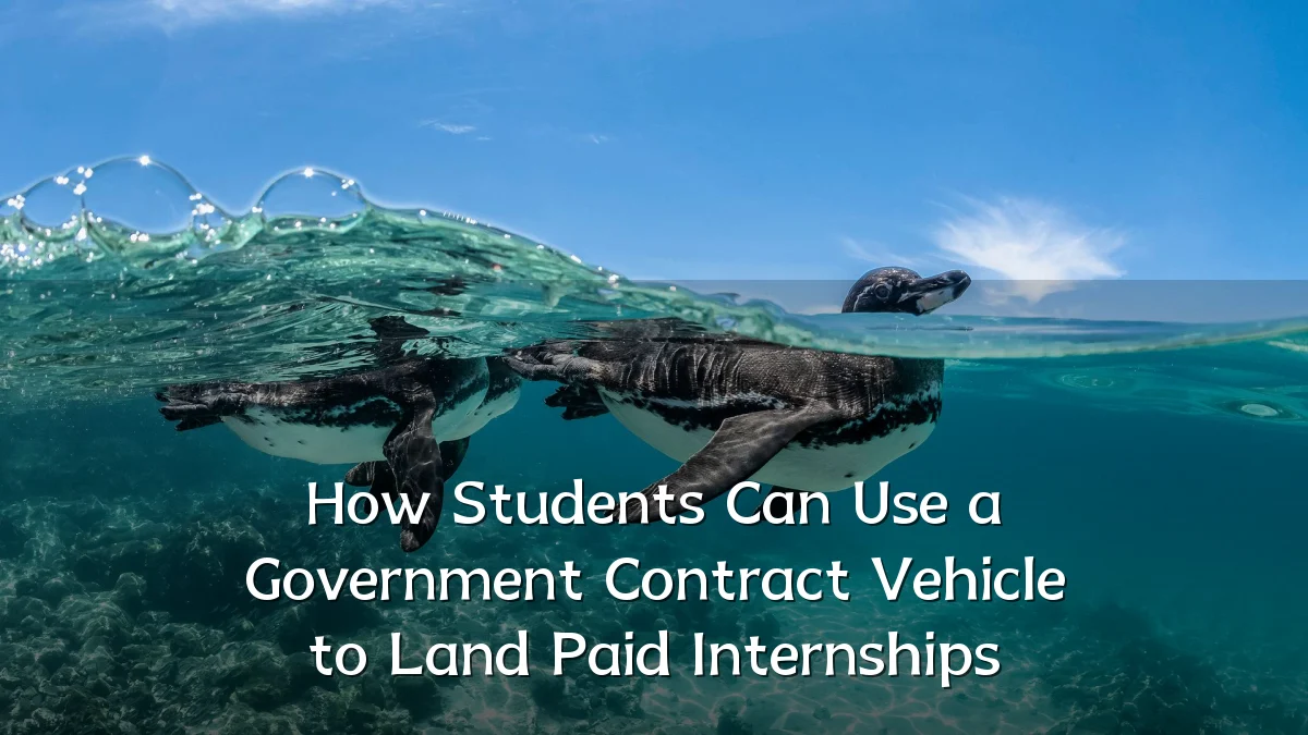 How Students Can Use a Government Contract Vehicle to Land Paid Internships