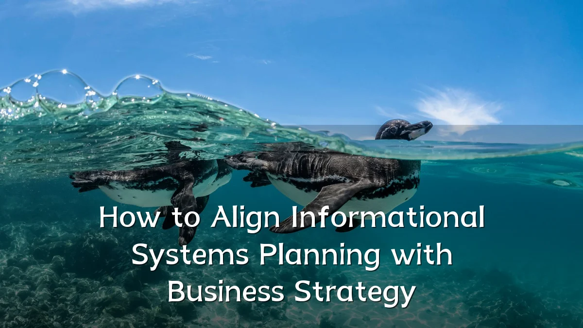 How to Align Informational Systems Planning with Business Strategy