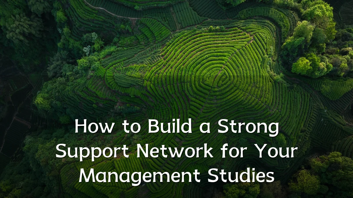 How to Build a Strong Support Network for Your Management Studies