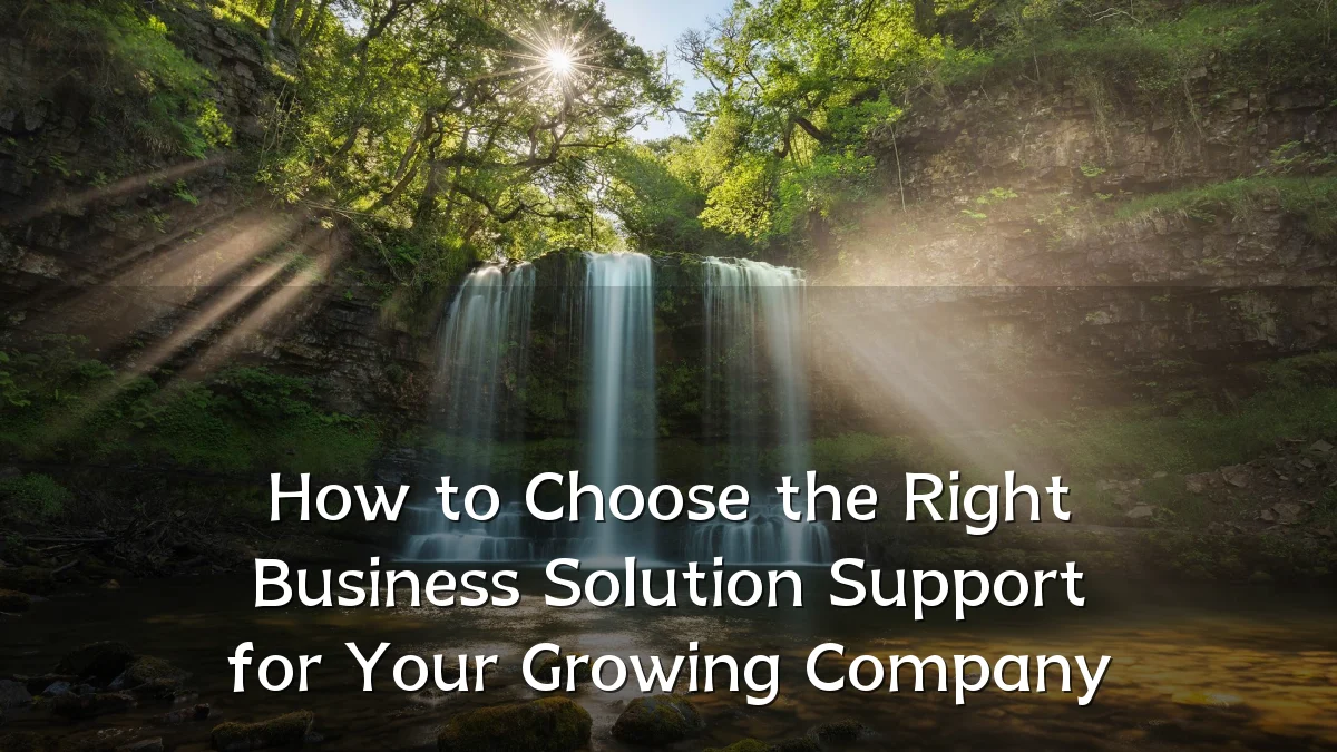 How to Choose the Right Business Solution Support for Your Growing Company