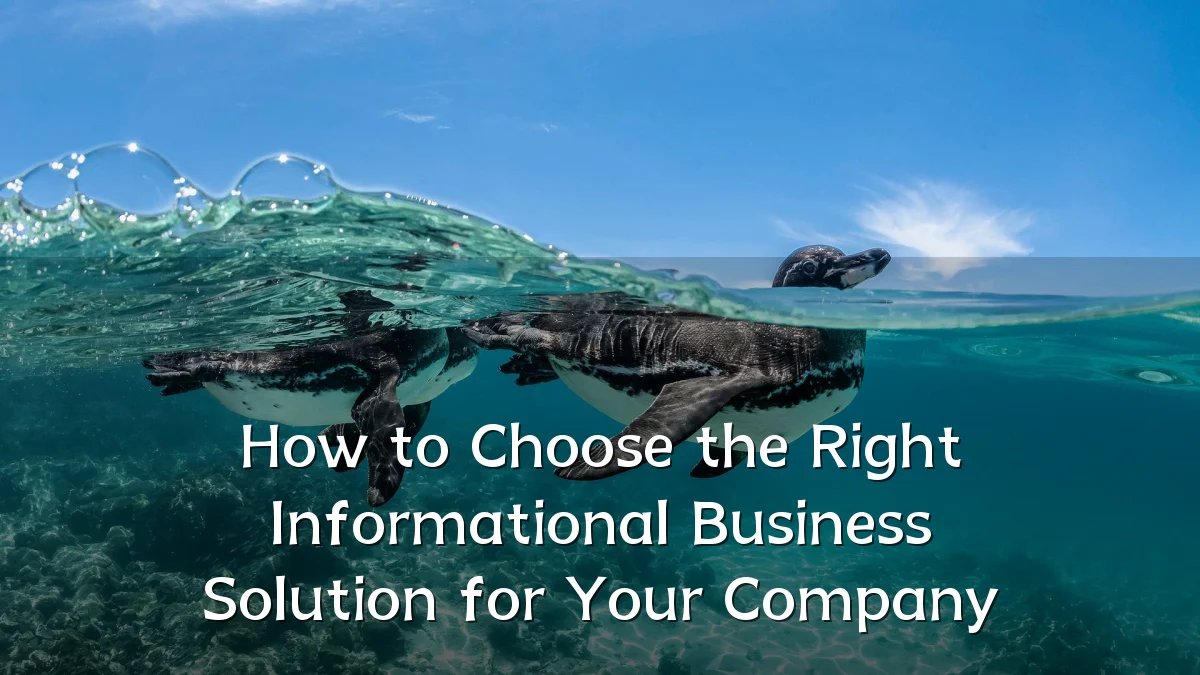 How to Choose the Right Informational Business Solution for Your Company