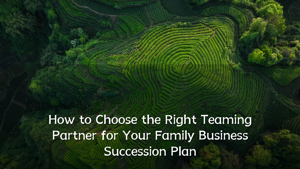 How to Choose the Right Teaming Partner for Your Family Business Succession Plan