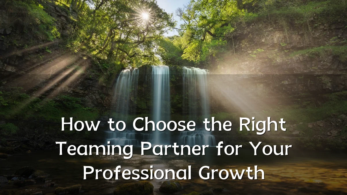 How to Choose the Right Teaming Partner for Your Professional Growth
