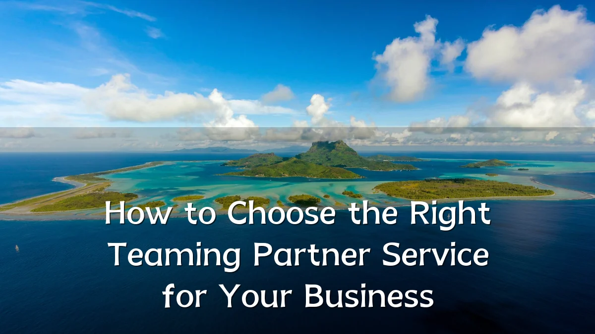 How to Choose the Right Teaming Partner Service for Your Business