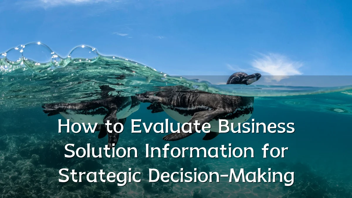 How to Evaluate Business Solution Information for Strategic Decision-Making