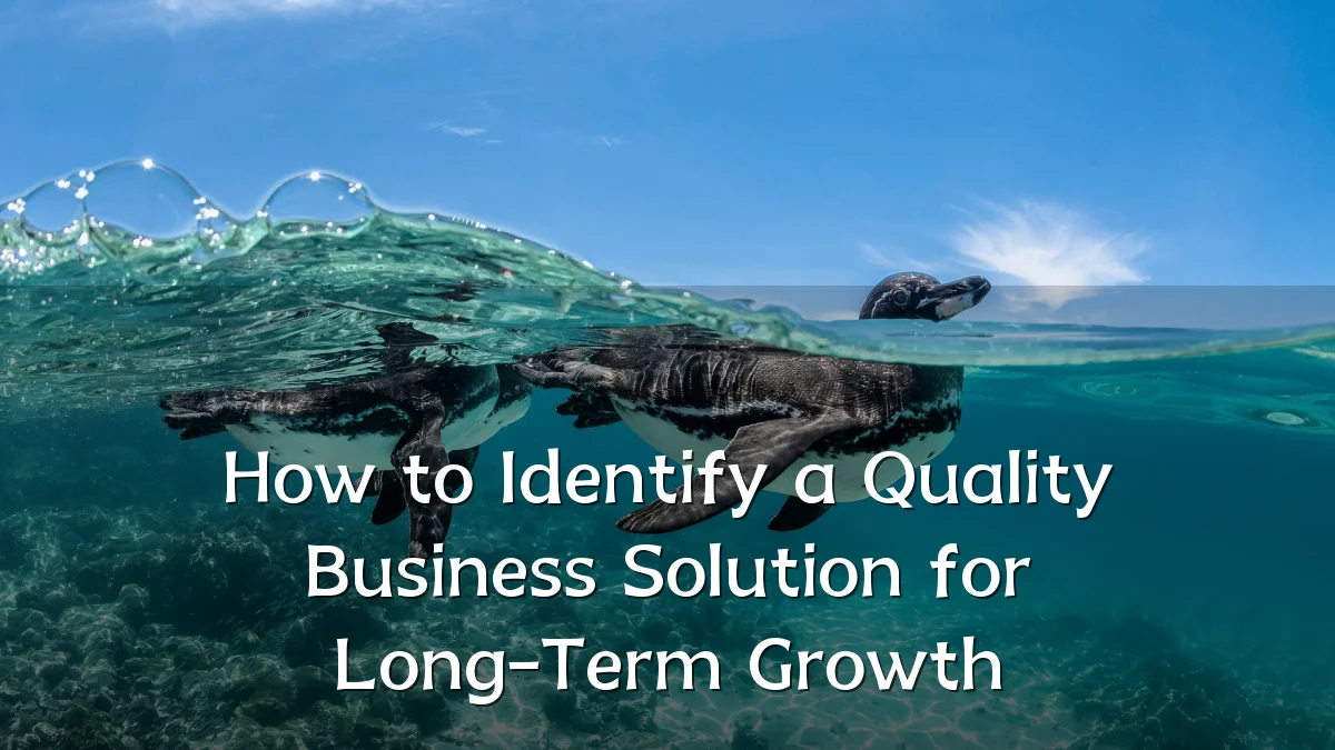 How to Identify a Quality Business Solution for Long-Term Growth