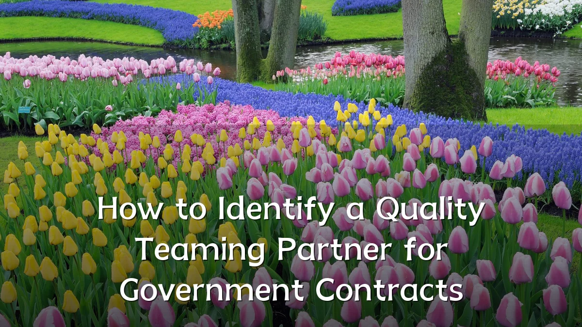 How to Identify a Quality Teaming Partner for Government Contracts